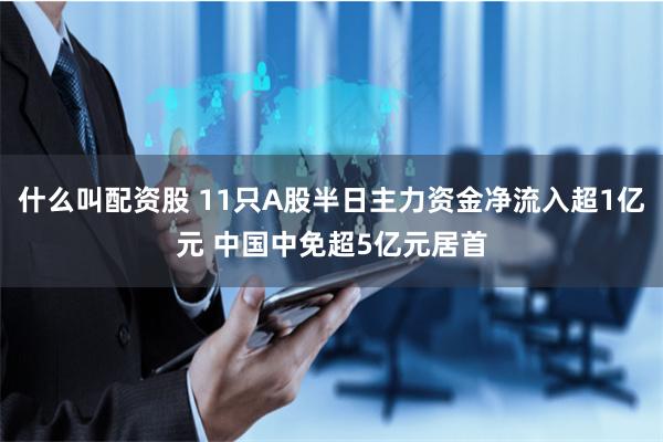 什么叫配资股 11只A股半日主力资金净流入超1亿元 中国中免超5亿元居首