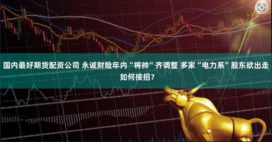国内最好期货配资公司 永诚财险年内“将帅”齐调整 多家“电力系”股东欲出走 如何接招？