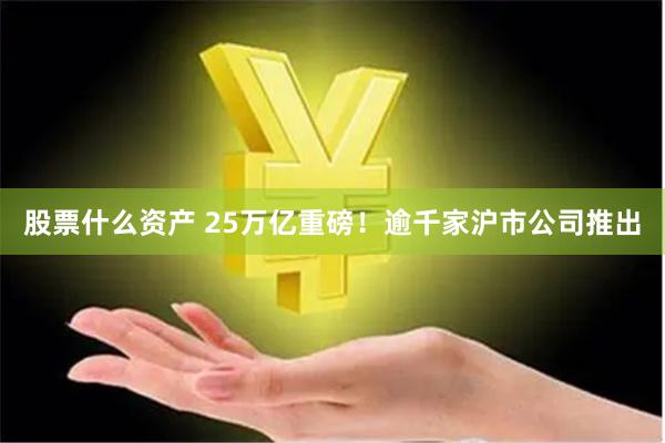 股票什么资产 25万亿重磅！逾千家沪市公司推出