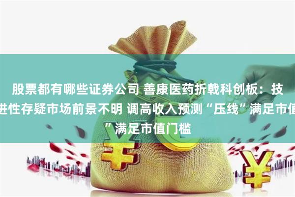 股票都有哪些证券公司 善康医药折戟科创板：技术先进性存疑市场前景不明 调高收入预测“压线”满足市值门槛