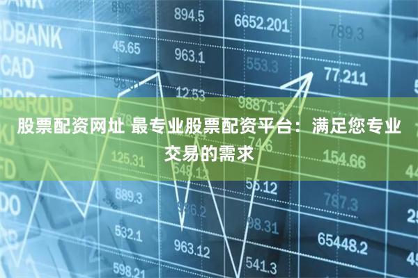 股票配资网址 最专业股票配资平台：满足您专业交易的需求